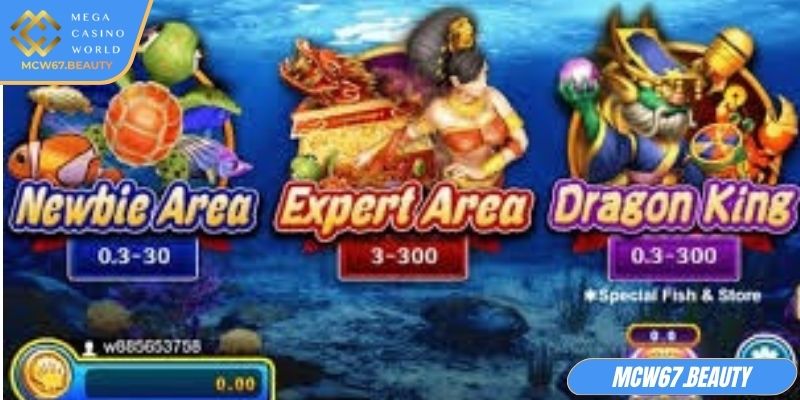 Dragon Fishing MCW67 cần lưu ý gì
