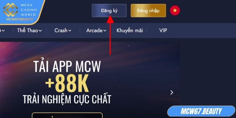 Những lỗi thường xuyên mắc phải, và cách sửa đổi khi đăng ký MCW67