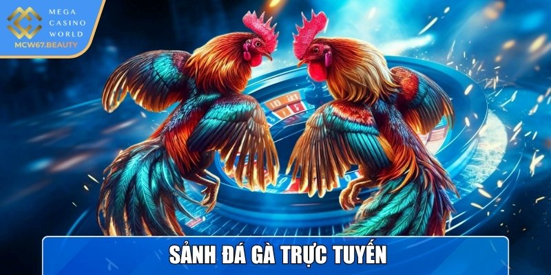 Sảnh đá gà trực tuyến
